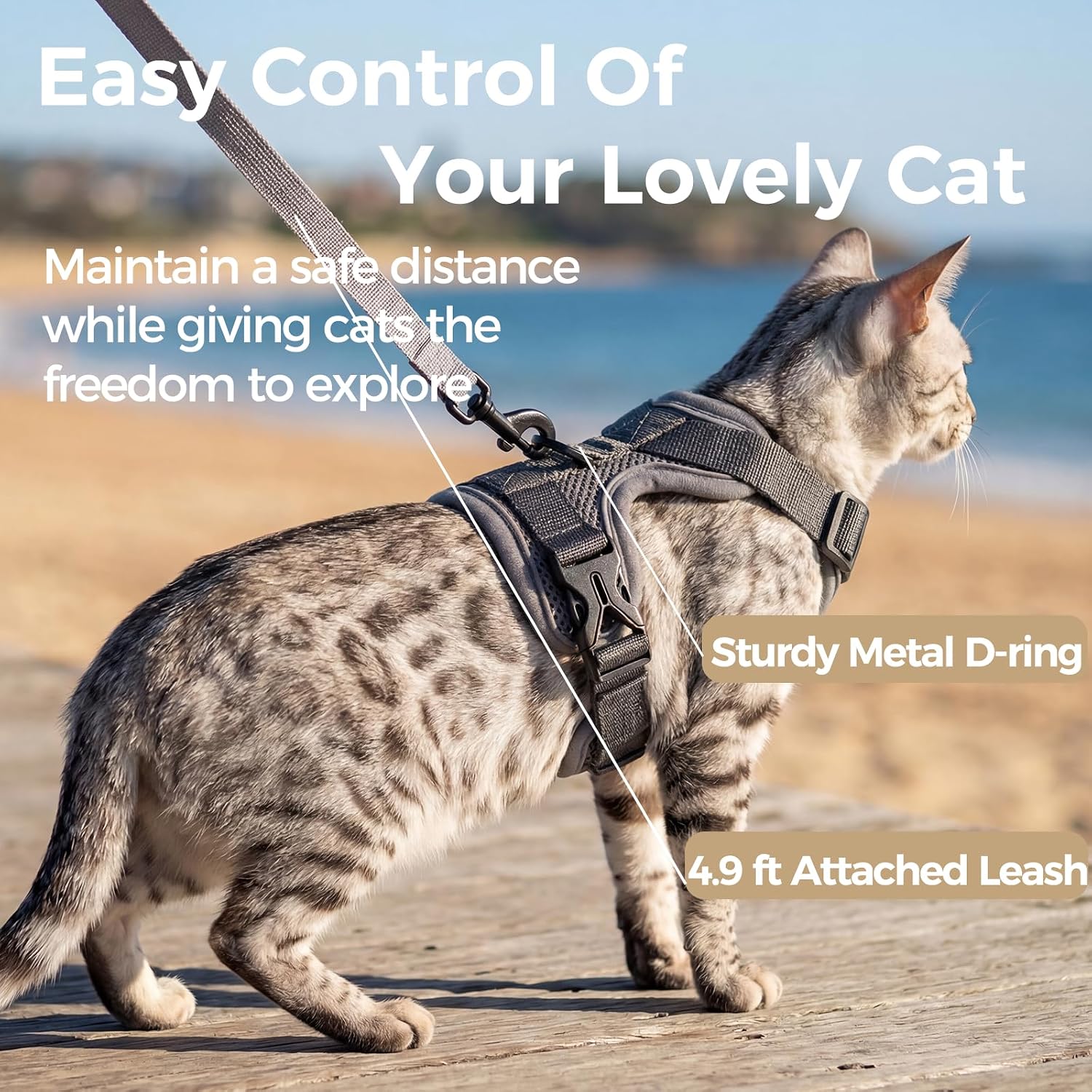 Adjustable grey cat walking jacket with attached leash setup