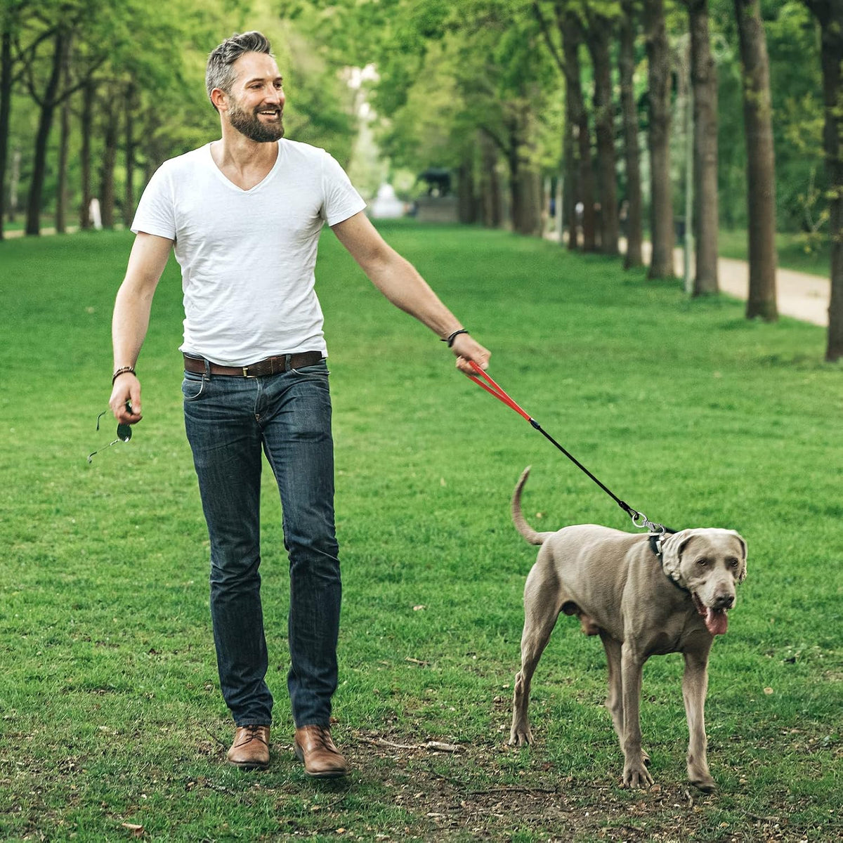 Side angle view of the black heavy duty wire rope pet lead showing the premium hardware.