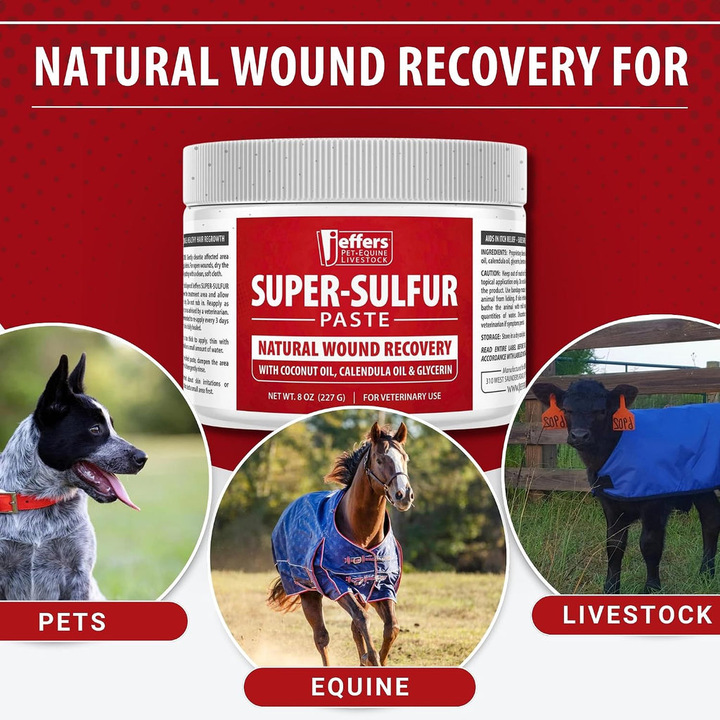 Jeffers Super Sulfur paste application on animal skin for hot spots