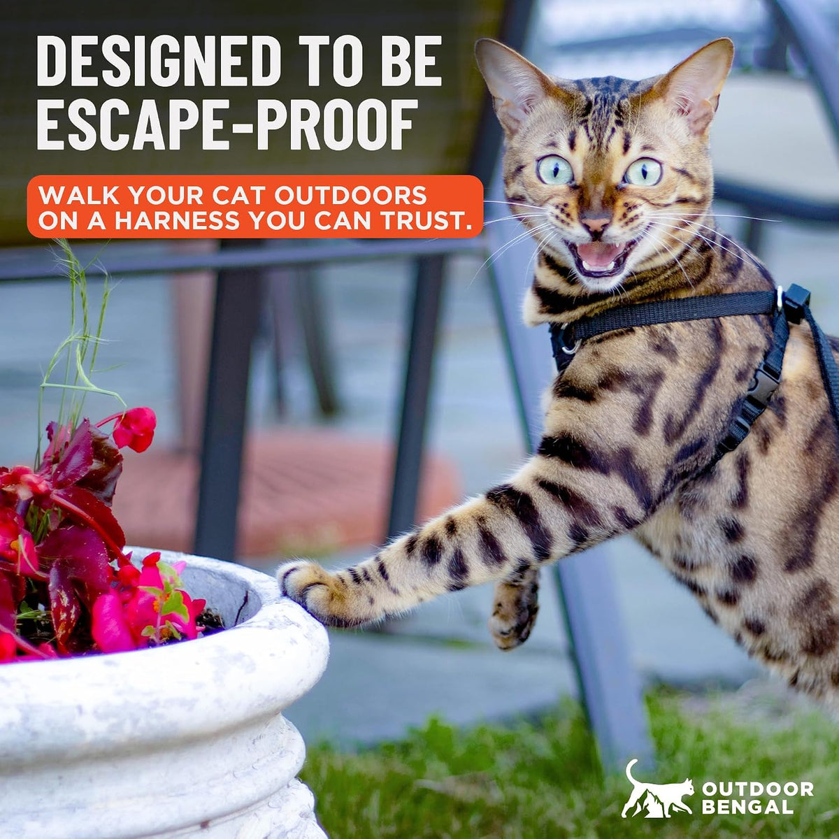 Houdini(TM) Escape Proof Cat Harness and Leash (Black, M/L) - Image 3