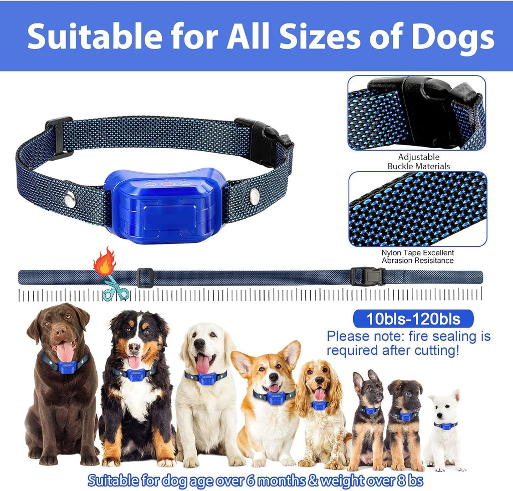 Citronella collar on a dog showing fit