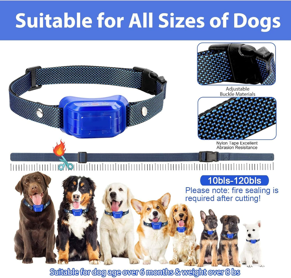 Citronella collar on a dog showing fit