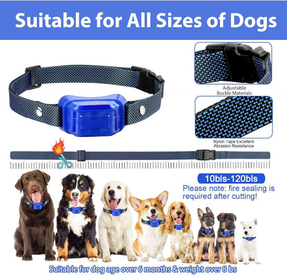 Citronella collar on a dog showing fit