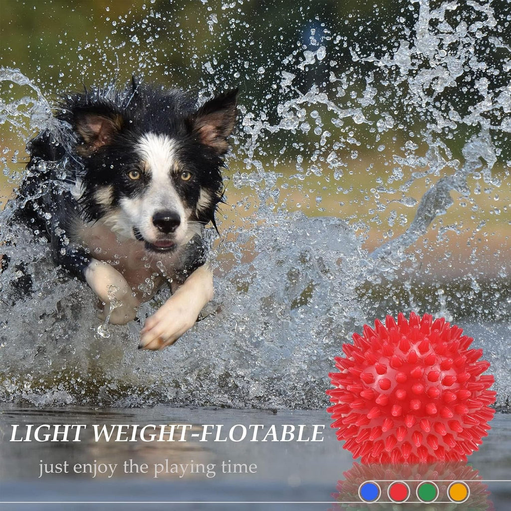 Pet playing with Ousiya spikey rubber ball outdoors