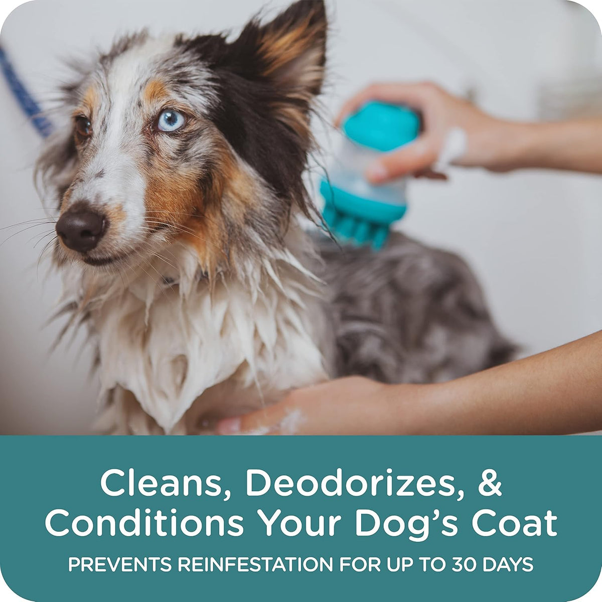 Authentic Sergeant's Guardian Pro imported canine shampoo packaging details.