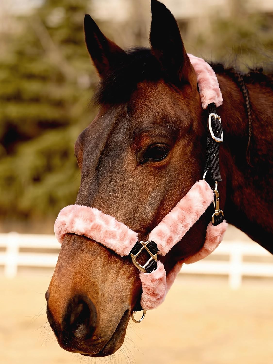 Harrison Howard Fleece Halter Covers for Horses, Set of 9, Prevent Hair Loss Pressure Marks, Padded Horse Halter Fleece Set Black - Image 15
