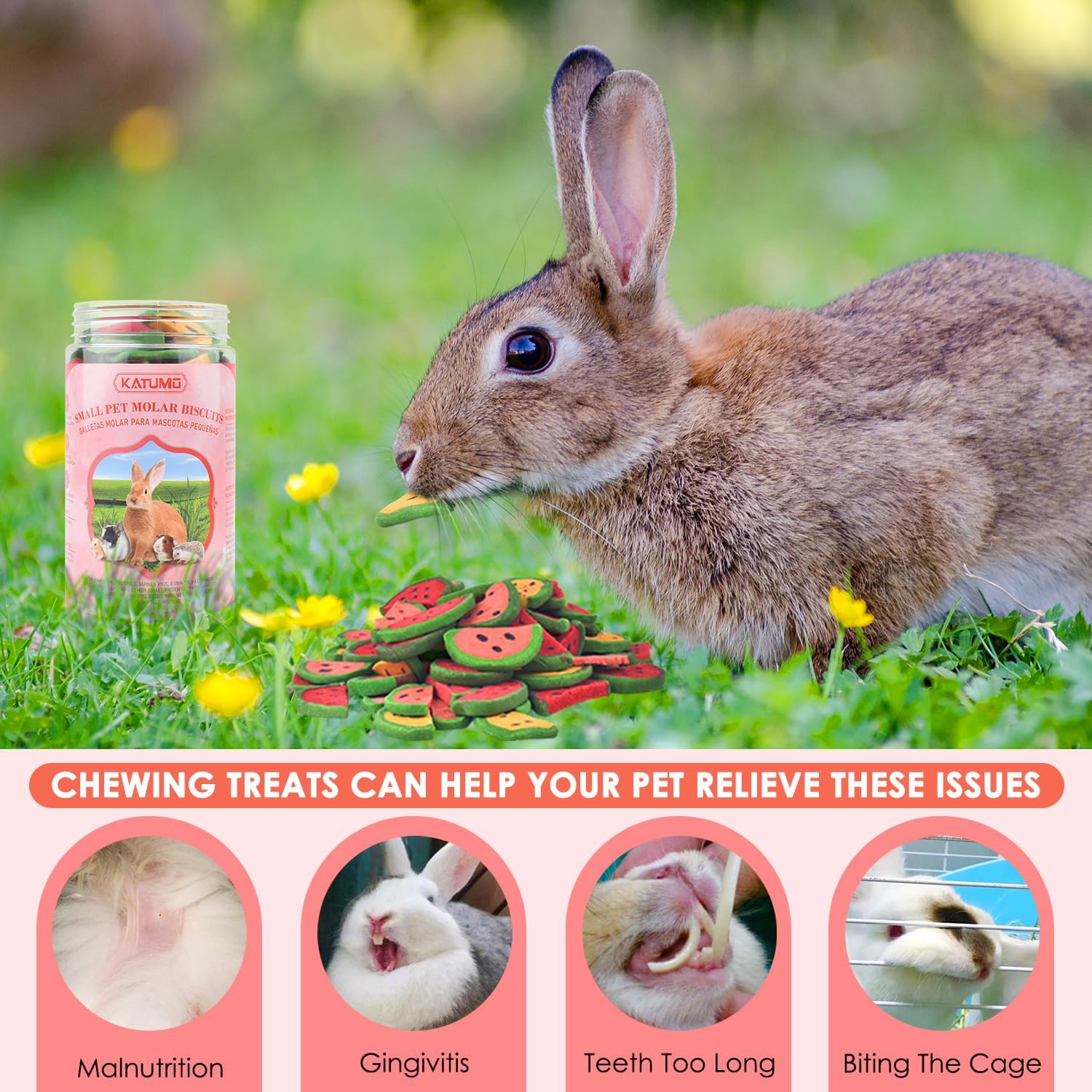 KATUMO premium small animal treats 200 grams pack contents display