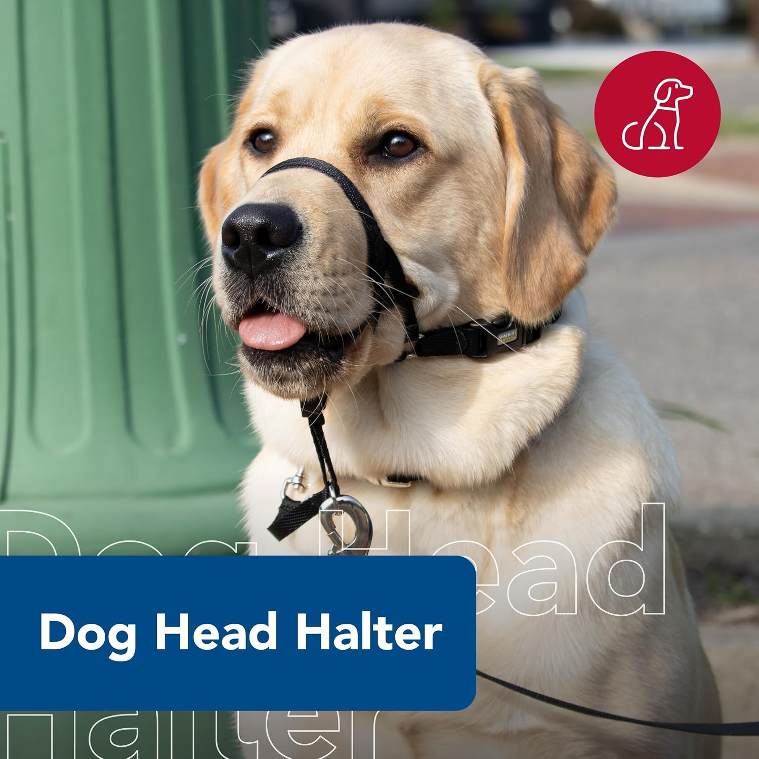 Adjustable no pull dog leader harness with yellow adjustment tabs side angle view