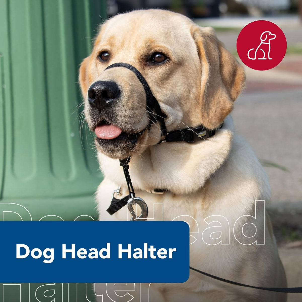 Adjustable no pull dog leader harness with yellow adjustment tabs side angle view