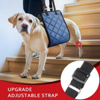 Blue quilted dog sling for hind leg support