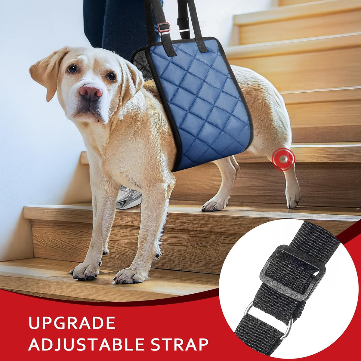 Blue quilted dog sling for hind leg support