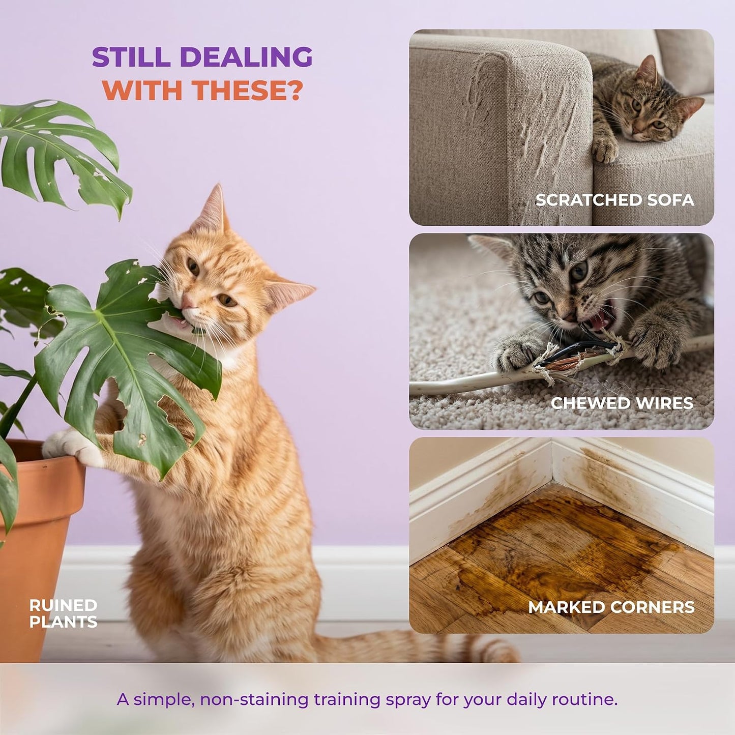Tioupi cat training spray being applied to a sofa