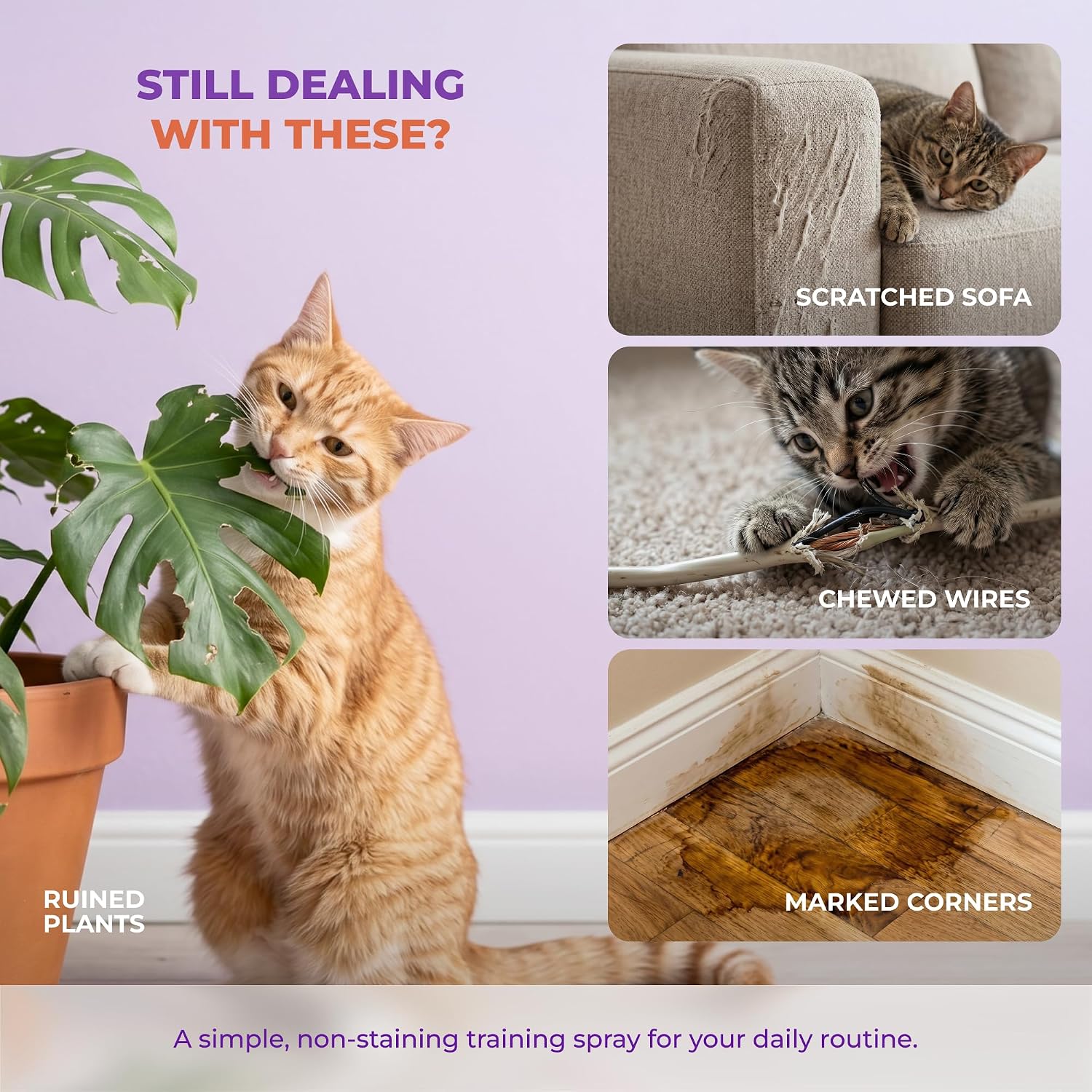 Tioupi cat training spray being applied to a sofa