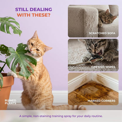 Tioupi cat training spray being applied to a sofa
