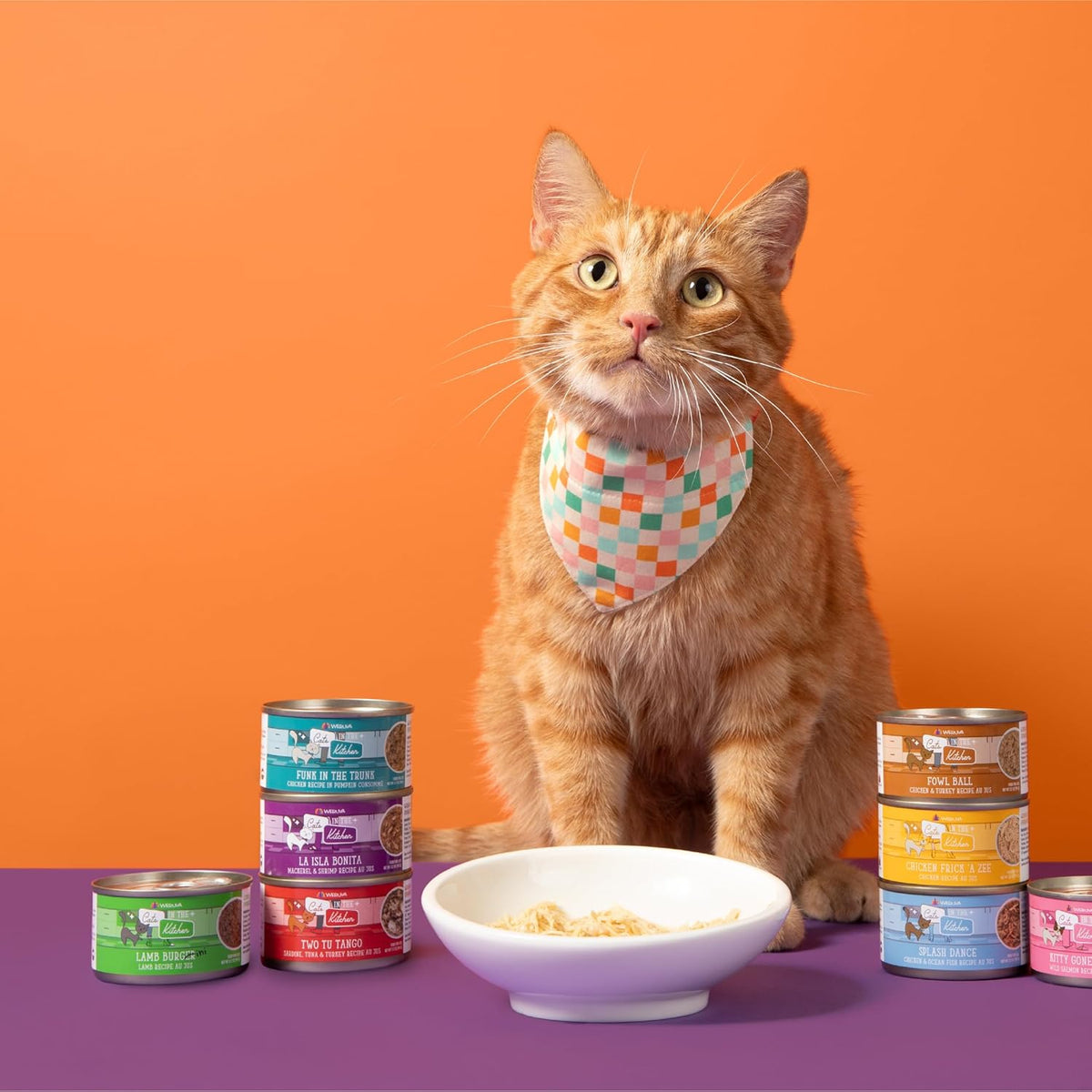 Weruva Cats in The Kitchen, Kitchen Cuties Variety Pack, Wet Cat Food, 3.2oz Can (Pack of 12) - Image 10