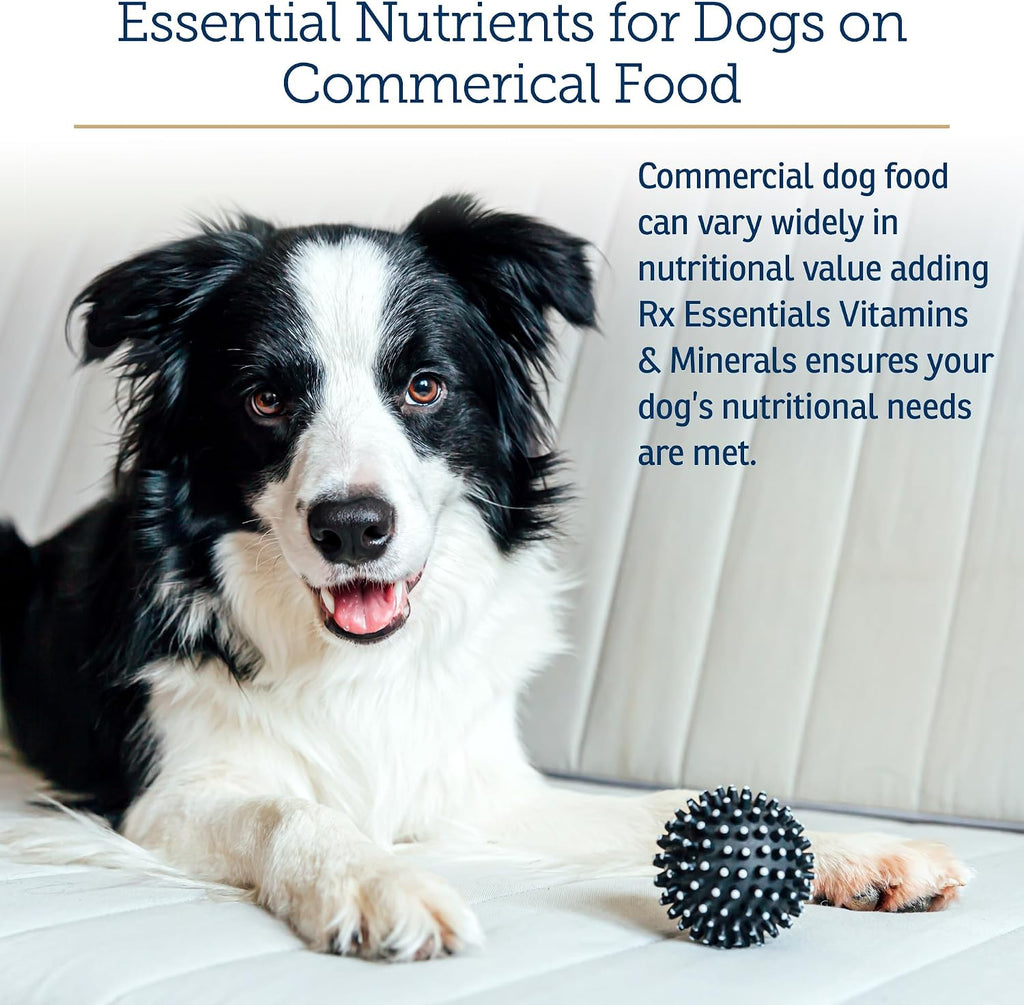Rx Vitamins canine multivitamin powder container size reference