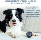Rx Vitamins canine multivitamin powder container size reference