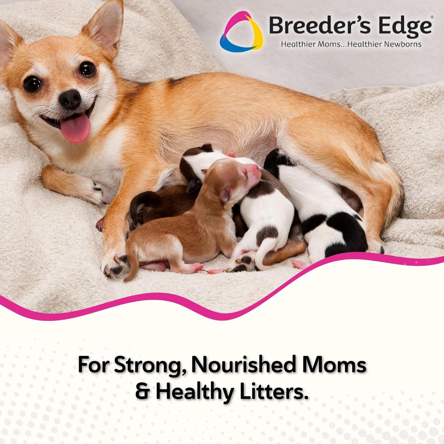 Breeder's Edge Oxy Momma 40 count soft chews packaging