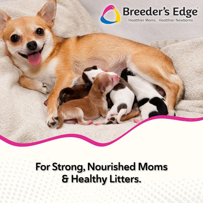 Breeder's Edge Oxy Momma 40 count soft chews packaging