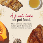 Rehydrated bowl of The Honest Kitchen Turkey and White Fish dog food