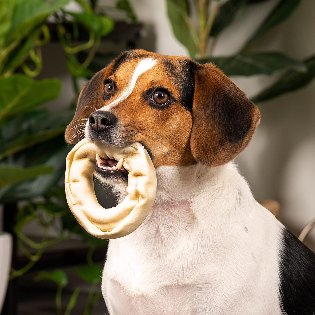 Pet Factory digestible rawhide donut treats for dental hygiene