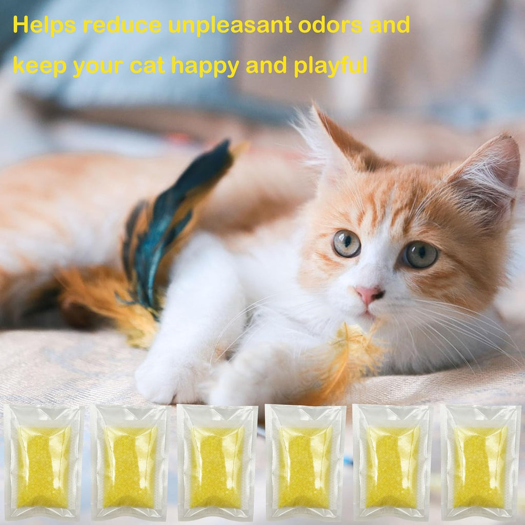 Packaging of imported USA premium pet care odor trap refills showing six count product details.