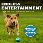 Four pack of medium size two point five inch squeaky dog balls for training