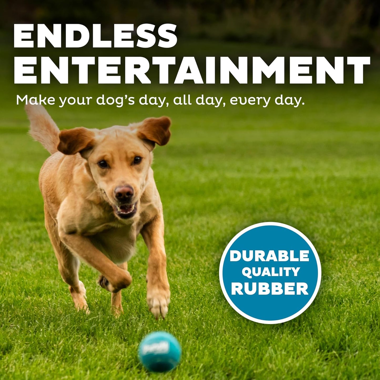Four pack of medium size two point five inch squeaky dog balls for training