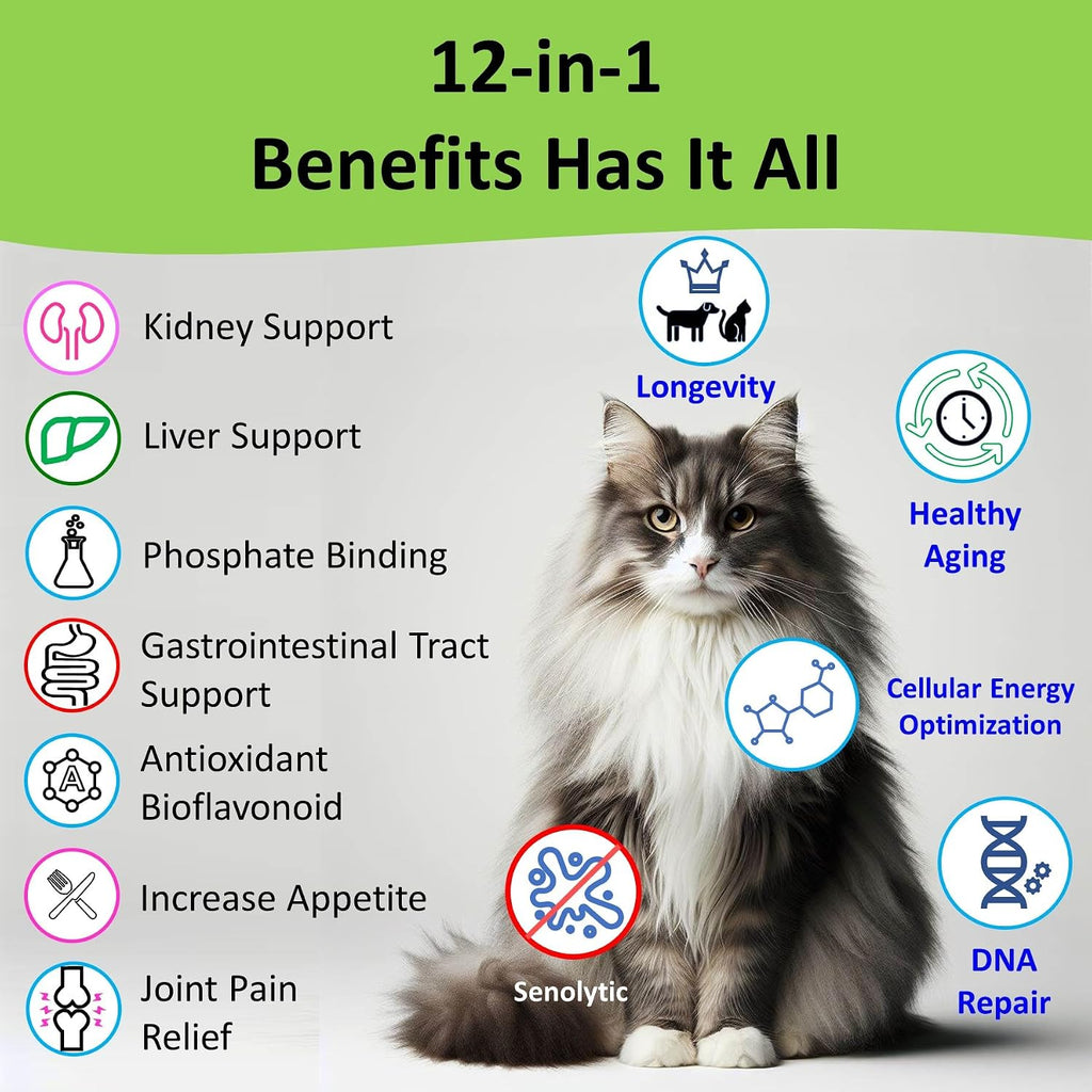 Healthy senior cat and dog kidney supplement usage guide