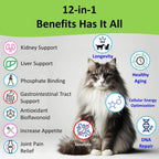 Healthy senior cat and dog kidney supplement usage guide