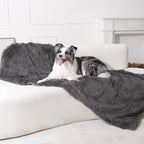 Border Collie dog resting comfortably on the grey Gogobunny waterproof furniture cover.