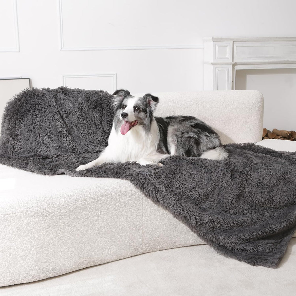 Border Collie dog resting comfortably on the grey Gogobunny waterproof furniture cover.