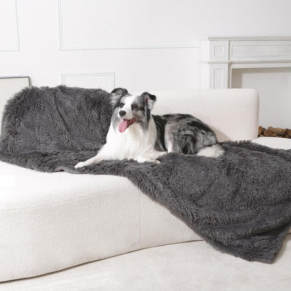 Border Collie dog resting comfortably on the grey Gogobunny waterproof furniture cover.