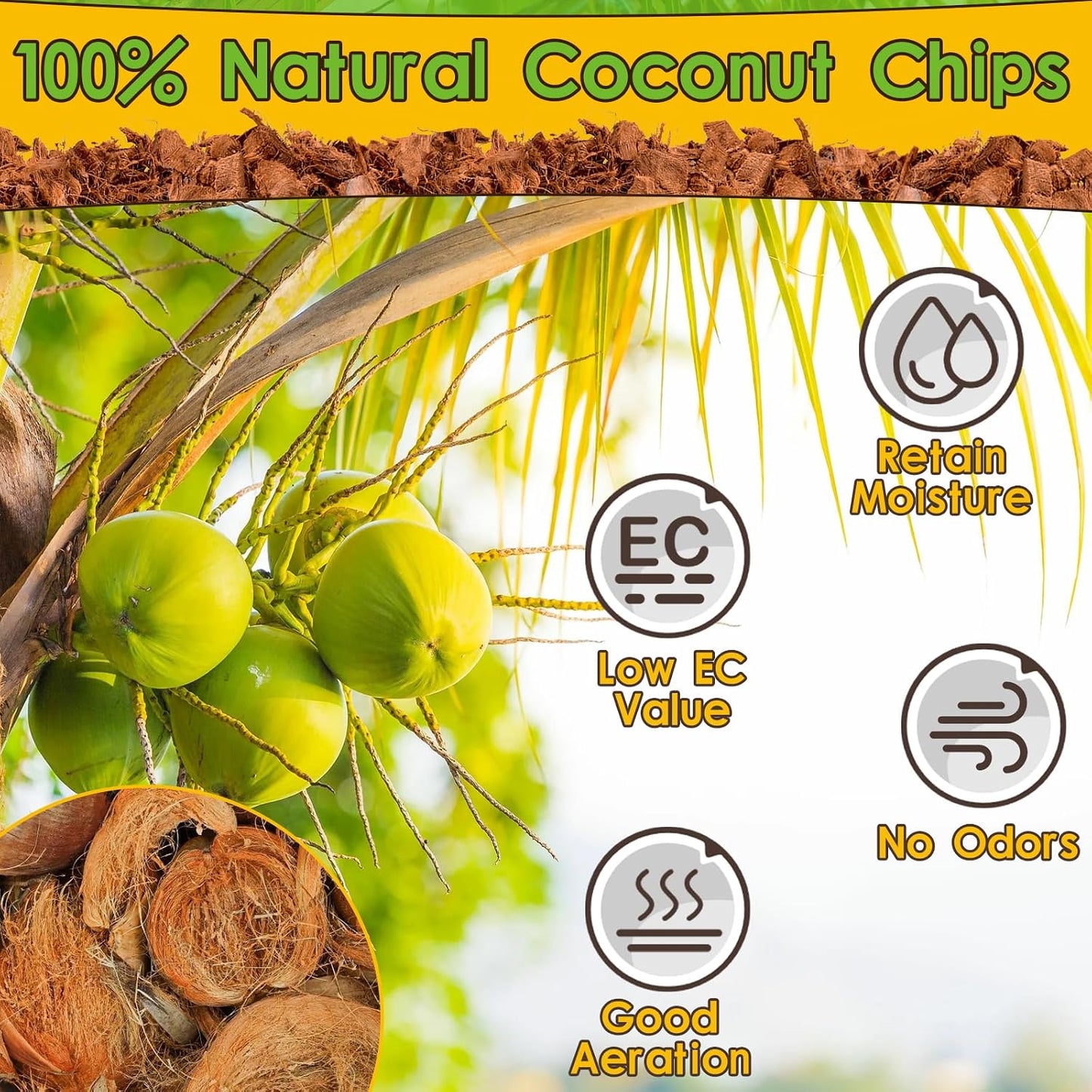 Halatool natural coconut fiber snake bedding inside a tropical terrarium