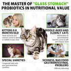 Netwik feline stool softener liquid dropper bottle showing natural six probiotics formula.