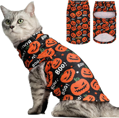 EXPAWLORER Plaid Cat Sweater - Pet Clothes Cat Puppy Vest Warm Fleece Hoodie for Cats, Fall and Cold Winter Coat Pullover Design, Buffalo Checked Sweatshirt Clothing Also for Small Dogs - Image 10