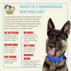 Country Brook Petz wide nylon dog collar showing close-up stitching texture