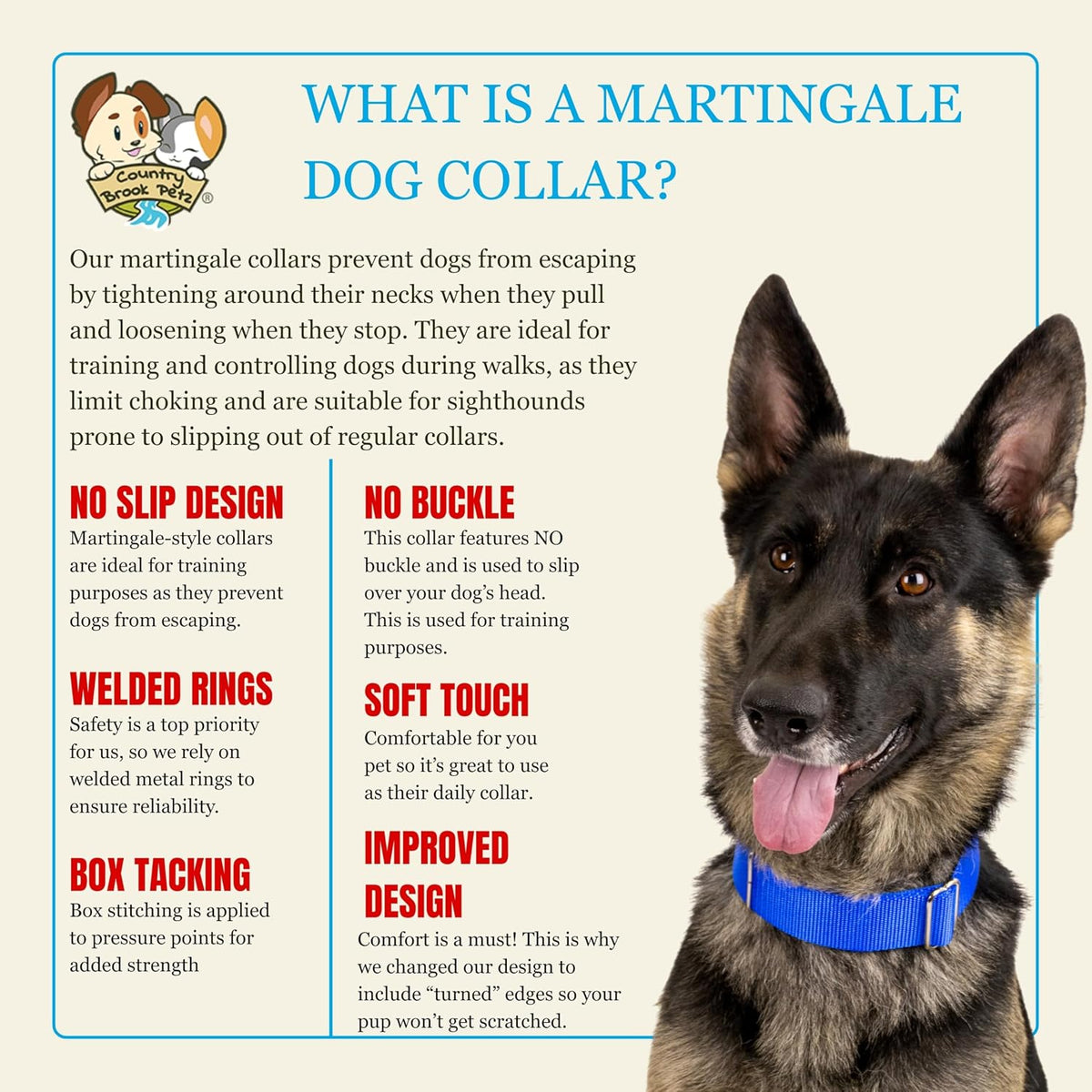 Country Brook Petz wide nylon dog collar showing close-up stitching texture