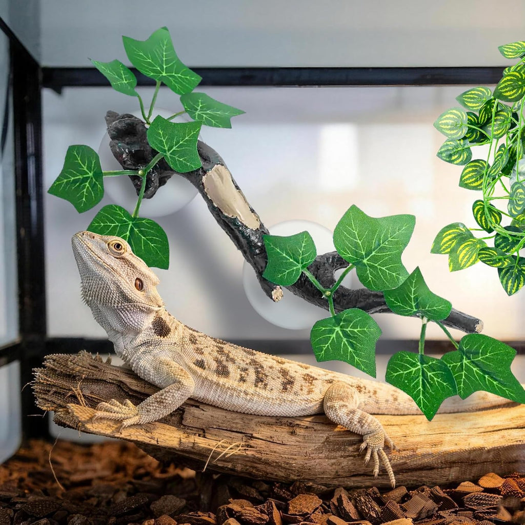 Full set of CousDUoBe reptile accessories for leopard gecko tank