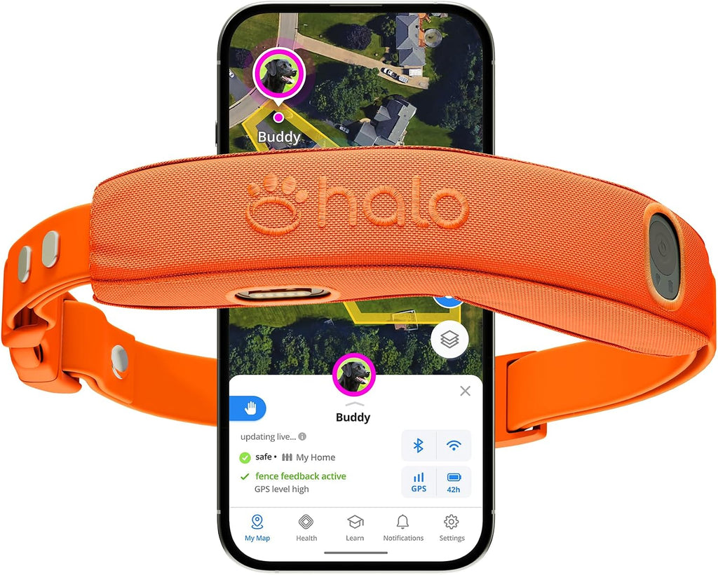 Halo Collar 5 Wireless Dog Fence & GPS Dog Collar, Keep Your Dog Safely Contained Outdoors with App-Controlled Boundaries and Real-Time Tracking, One Size, Orchid - Image 12