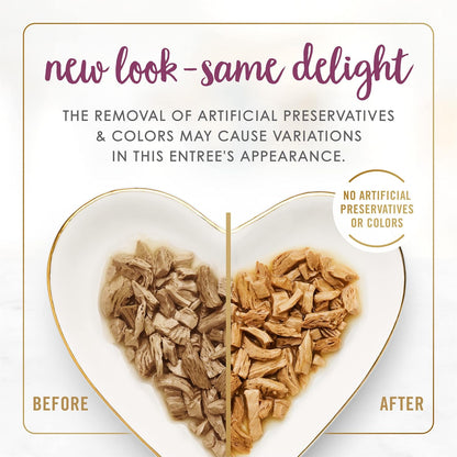 Purina Fancy Feast grilled chicken wet cat food texture in gravy