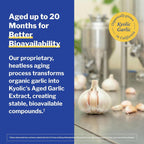 Kyolic Aged Garlic Extract Cardiovascular Health* Formula 100, 300 Capsules - Image 6