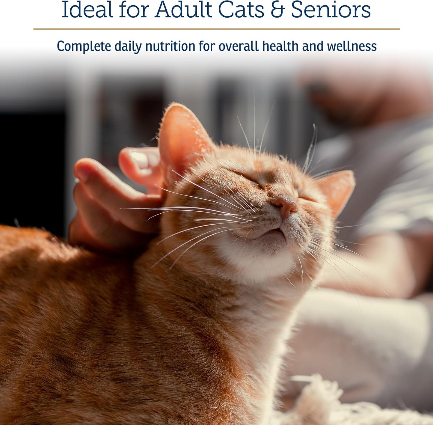 Close-up view of Rx Vitamins Essentials for Cats dietary supplement for domestic cats.