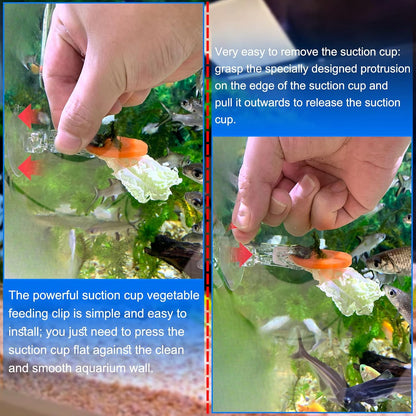 NestBasics fish feeding clips showing anti slip pincer structure
