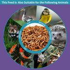 2LB Dried Mealworms for Chickens - 52% Protein for Growth - Image 8