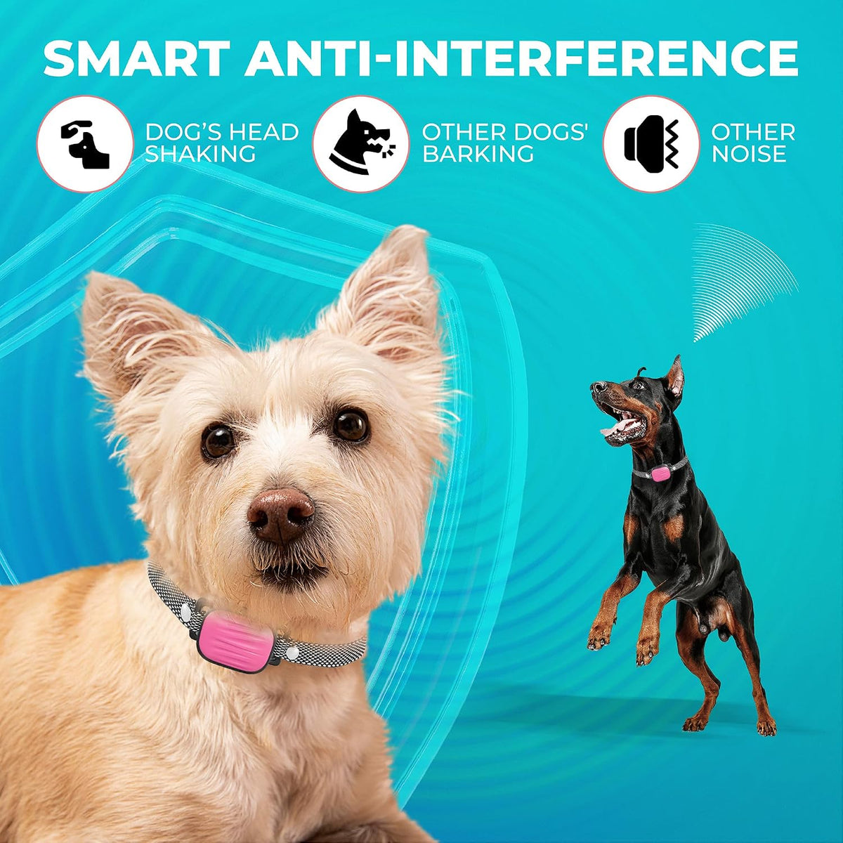 Humane anti-barking collar packaging and device