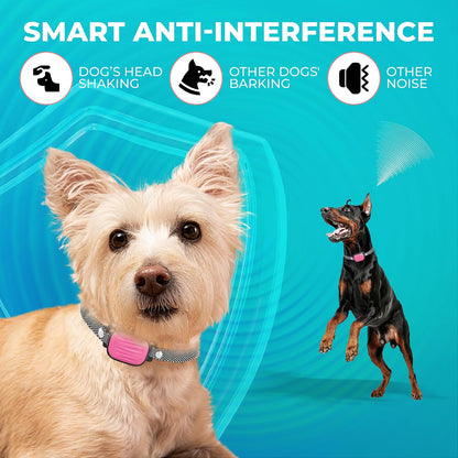 Humane anti-barking collar packaging and device