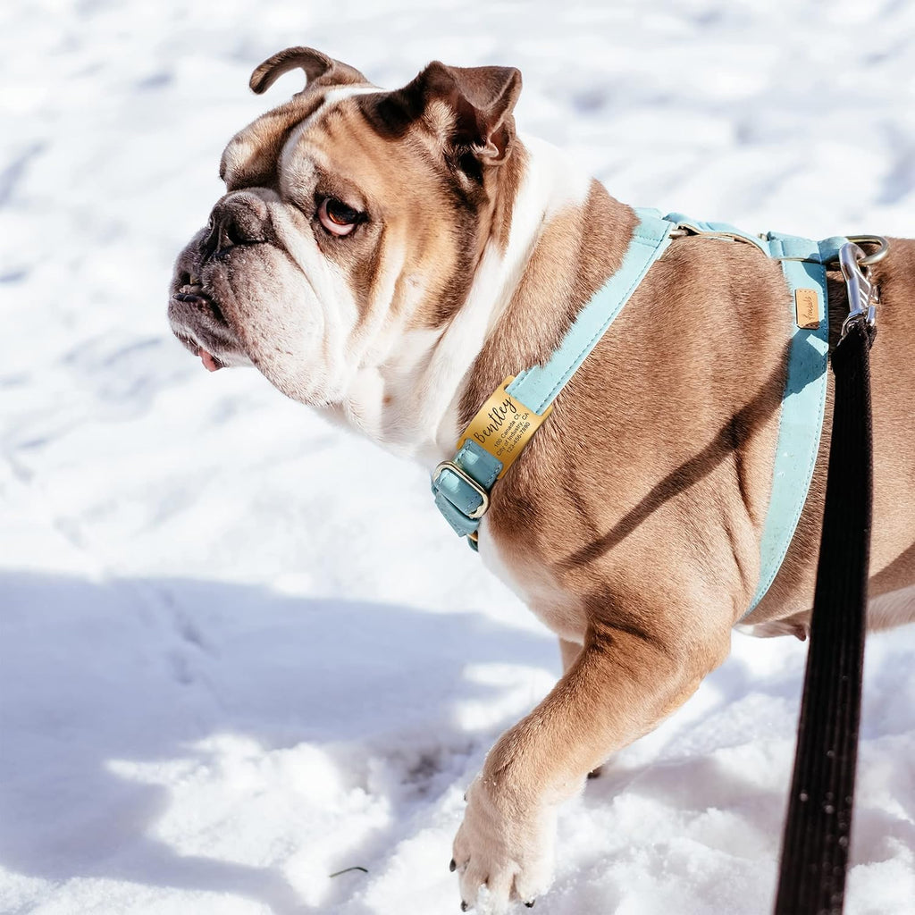 Side view of the jingle free personalized pet tag highlighting its slim profile