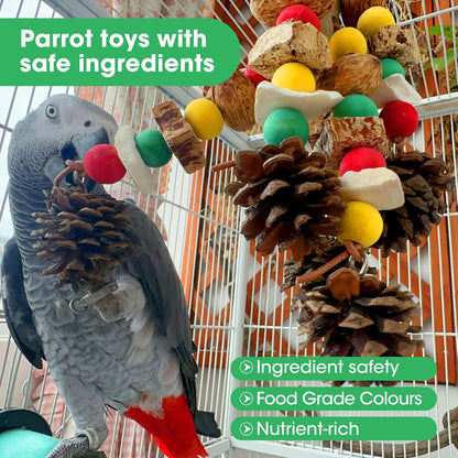 African grey parrot interacting with the natural wooden shredding toy