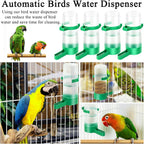Durable non-toxic plastic construction of bird feeder